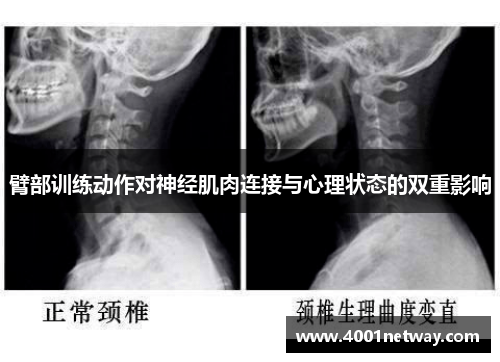 臂部训练动作对神经肌肉连接与心理状态的双重影响