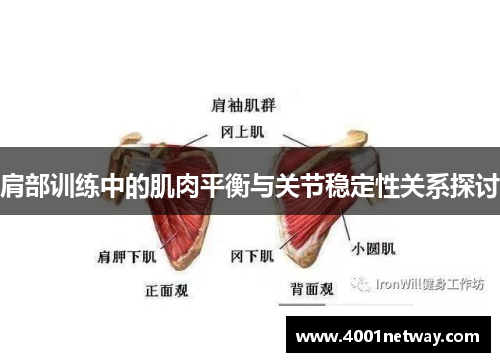 肩部训练中的肌肉平衡与关节稳定性关系探讨