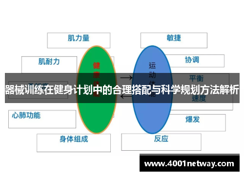 器械训练在健身计划中的合理搭配与科学规划方法解析